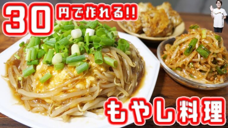 【節約】30円で作れる！おかずにもおつまみにもなる「もやし料理」【kattyanneru】