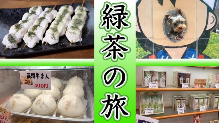 【緑茶の旅】緑茶塩のささみ串・緑茶葉おにぎりの作り方【kattyanneru】