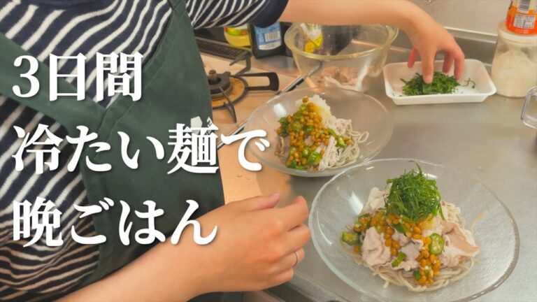 【３日間の晩ご飯】暑い日にツルツル食べれる冷たい麺レシピ