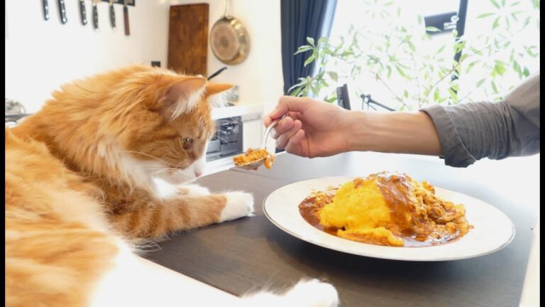 Fluffy Omurice (Japanese Omelette Rice)