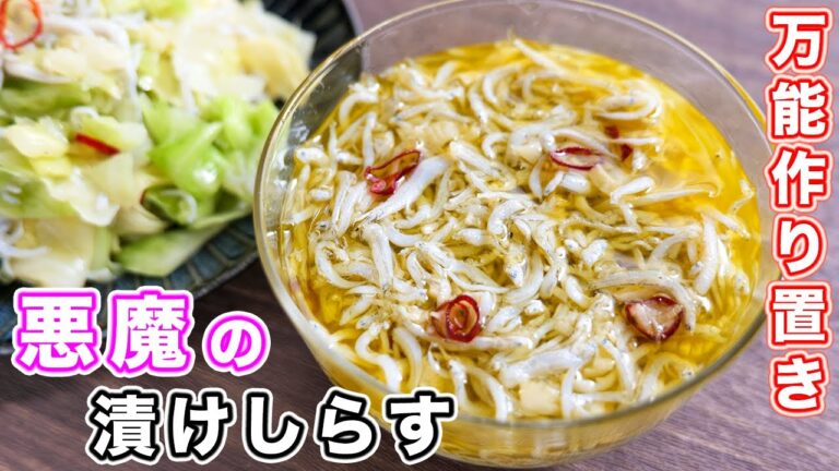 【調味料に漬けるだけ！】やべぇ美味しさ・・・悪魔の漬けしらすの作り方【kattyanneru】