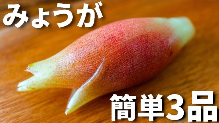 【日本酒や焼酎に合う！】みょうがを使った簡単おつまみレシピ3品～3 Japanese ginger～