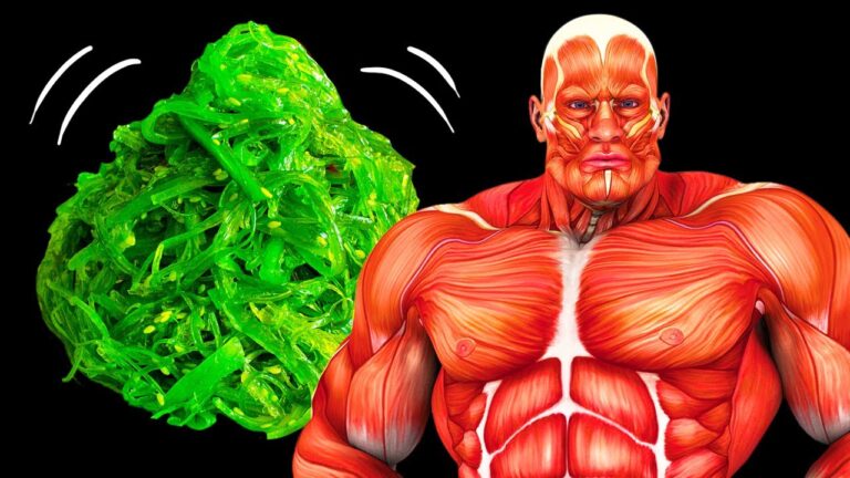 毎日海藻を食べると、体はどうなる？