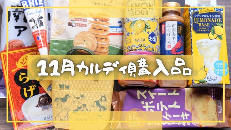 【カルディ購入品】購入品でひとり大試食会したら、最高の商品に出会いました！【kattyanneru】