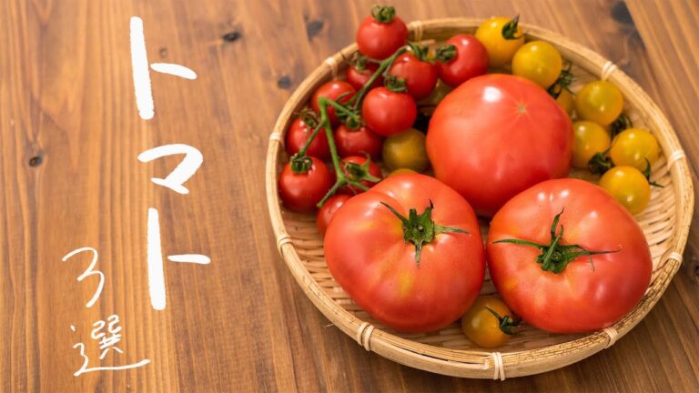 【本当においしい】夏におすすめのトマトレシピ 3選