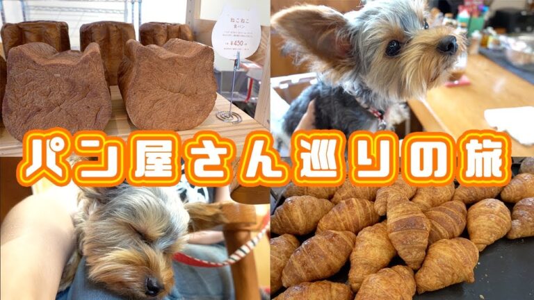 【パン屋さん巡りの旅】ねこねこ食パンと隠れ家的ドッグカフェ【kattyanneru】