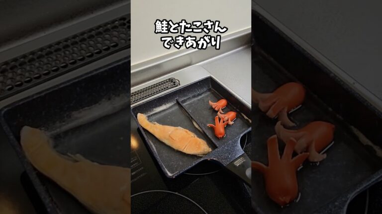 【お弁当作り】専業主婦が作る旦那弁当～定番のり弁編～　#shorts