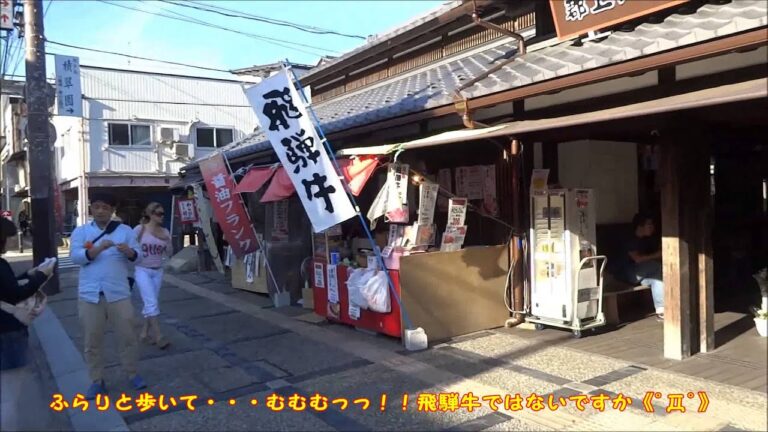 [ぶらり旅]岐阜　郡上八幡に行ってみた。