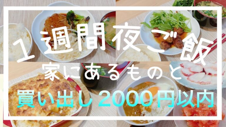 【節約主婦】5日間/節約晩ご飯/一週間の献立/節約レシピ/カレーライス/カレードリア/肉団子/チーズインハンバーグ/餅入りお好み焼き