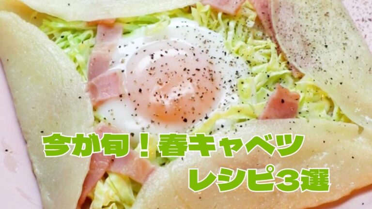 【春キャベツってこんなにおいしいの！？】旬の食材！春キャベツ人気レシピ3選  / 3 Spring Cabbage Recipes Tasty Japan