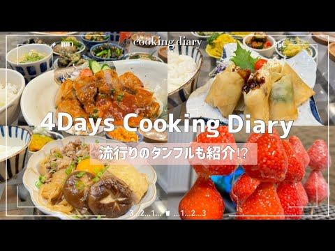 【平日よるごはん】【夫婦2人暮らし】夜ごはん紹介&最近流行りのタンフルも作ってみた❤️‍🔥🇰🇷/レシピ紹介