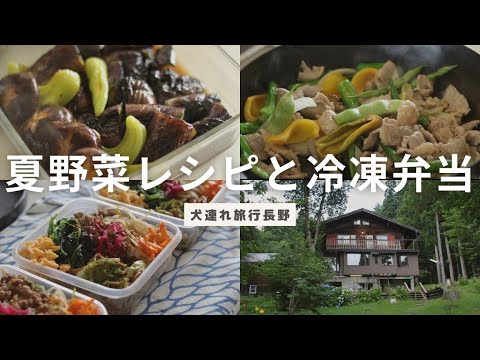 夏野菜レシピと冷凍弁当の作り置き/犬連れ旅行長野編