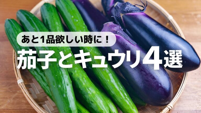 【夏野菜レシピ】パパッと作れる茄子とキュウリのおいしい副菜レシピ4選