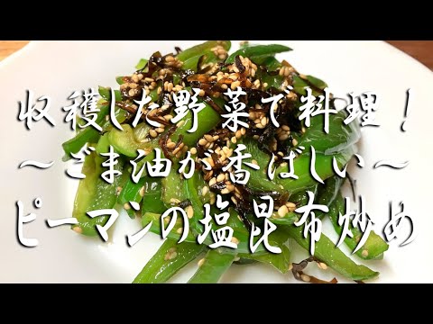 収穫した野菜で料理！ピーマンの塩昆布炒め