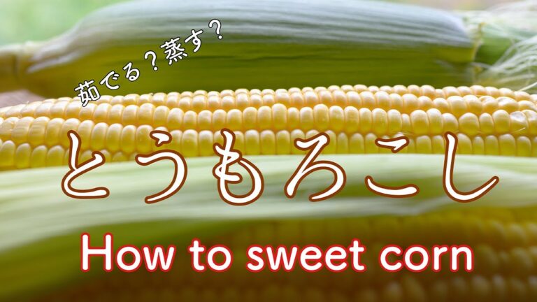 【 野菜ソムリエプロのシェフが解説 】一番簡単で一番美味しい、とうもろこしの食べ方と保存方法・コーンスープの作り方まで