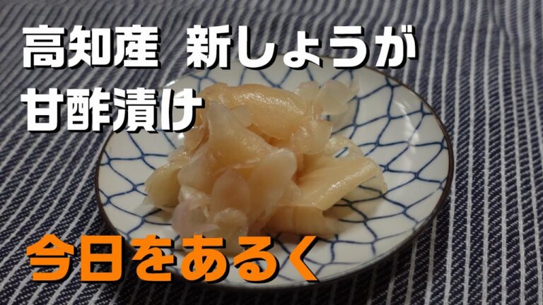 【暮らし 料理】高知産 新しょうが ガリを作る 2024 Spring👩‍🍳🎉Vlog 基本の和食 レシピ Gari Pickled ginger Japanese food