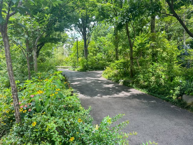 ののあおやま 公園 散歩