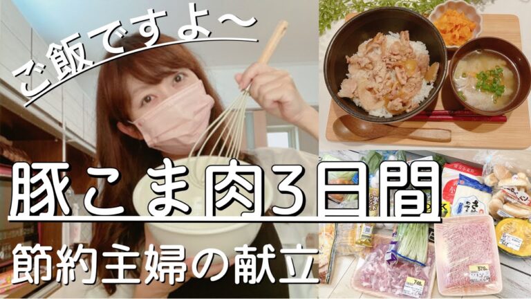 【夜ご飯献立】豚こま肉で３日間の夜ご飯♪豚丼、豚こま団子に炒めもの♪/簡単美味しく安く♪節約主婦/主婦vlog　料理vlog vol.41