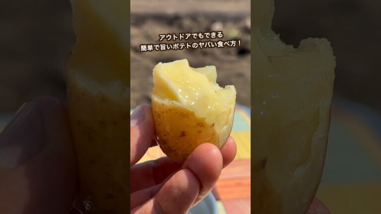 【ポテト好きにみてほしい🥔】アウトドアでできる簡単ポテト！北の大地でおじゃが掘ってすぐ食べたらヤバ過ぎた！！#shorts