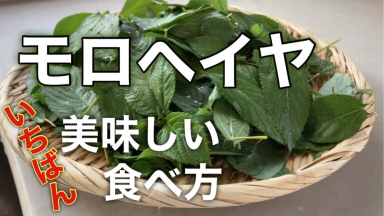 王様の野菜！モロヘイヤナムルの簡単レシピ