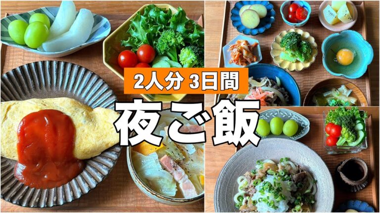 1食394円✨夜ご飯【2人分・3日間】オムライス / 牛丼 / おろし肉ぶっかけうどん