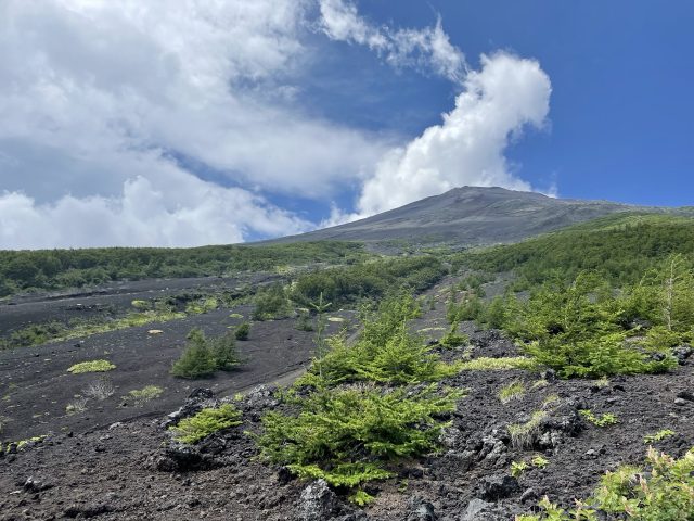 富士山