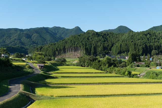 日本の田舎
